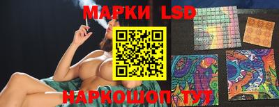 гидропоника Жуковский