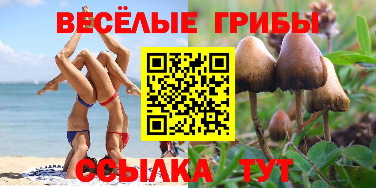 Малоярославец  Галлюциногенные грибы Psilocybine cubensis  Вход с VPN 