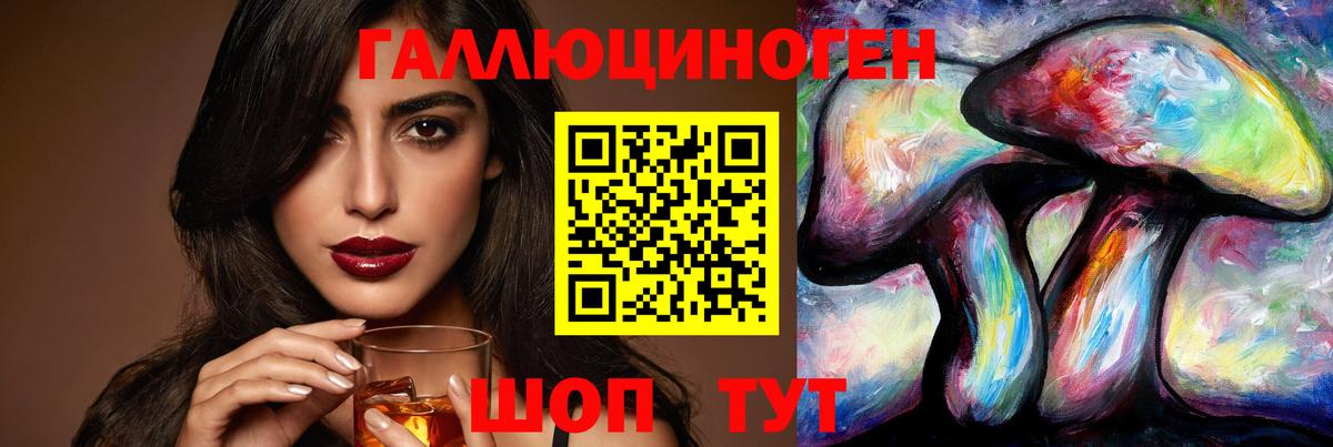 Галлюциногенные грибы Psilocybine cubensis Малоярославец